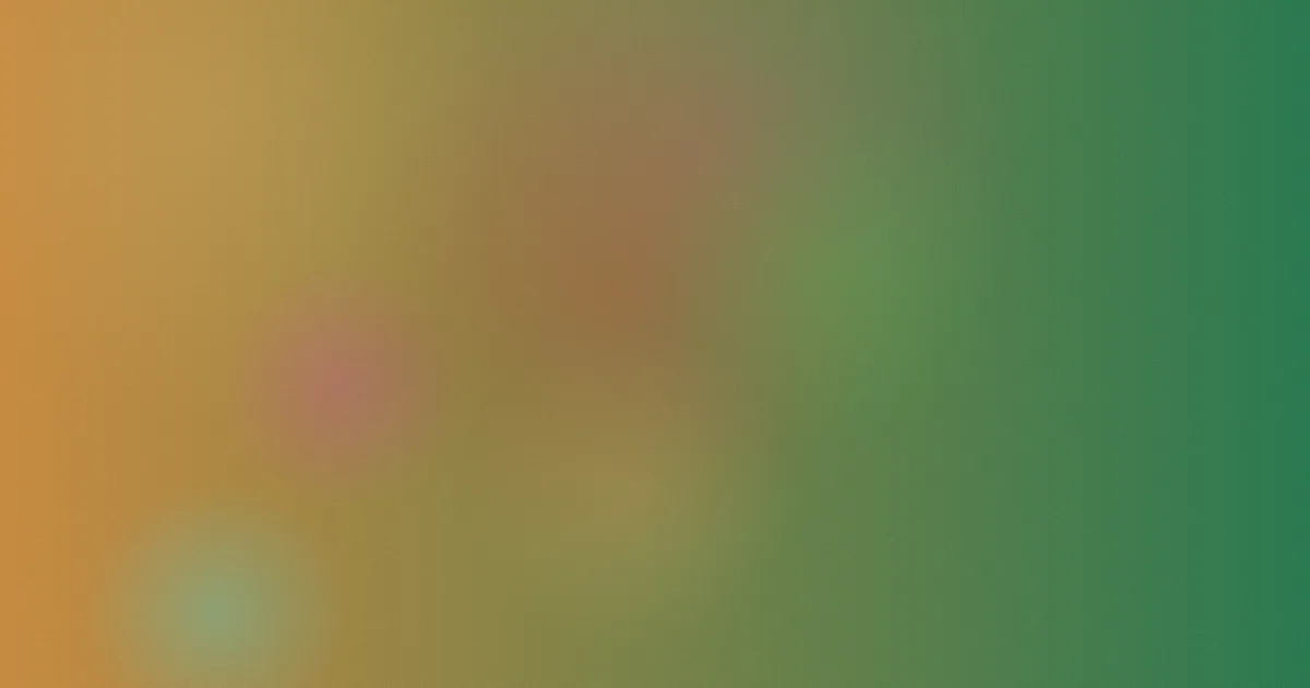 黑木玲奈对比：一场检索复盘